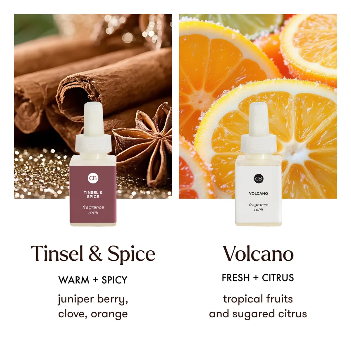 Volcano + Tinsel & Spice Pura Kit
