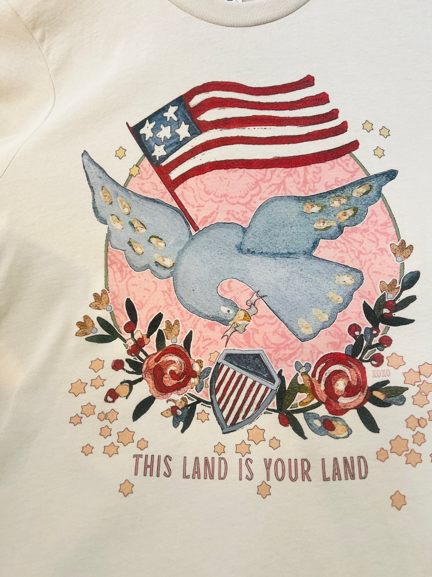 This Land is Your Land