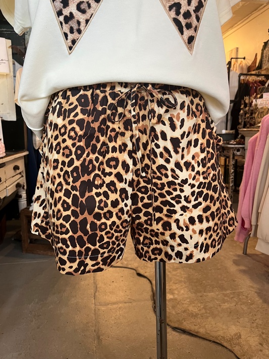 Confident in Leopard