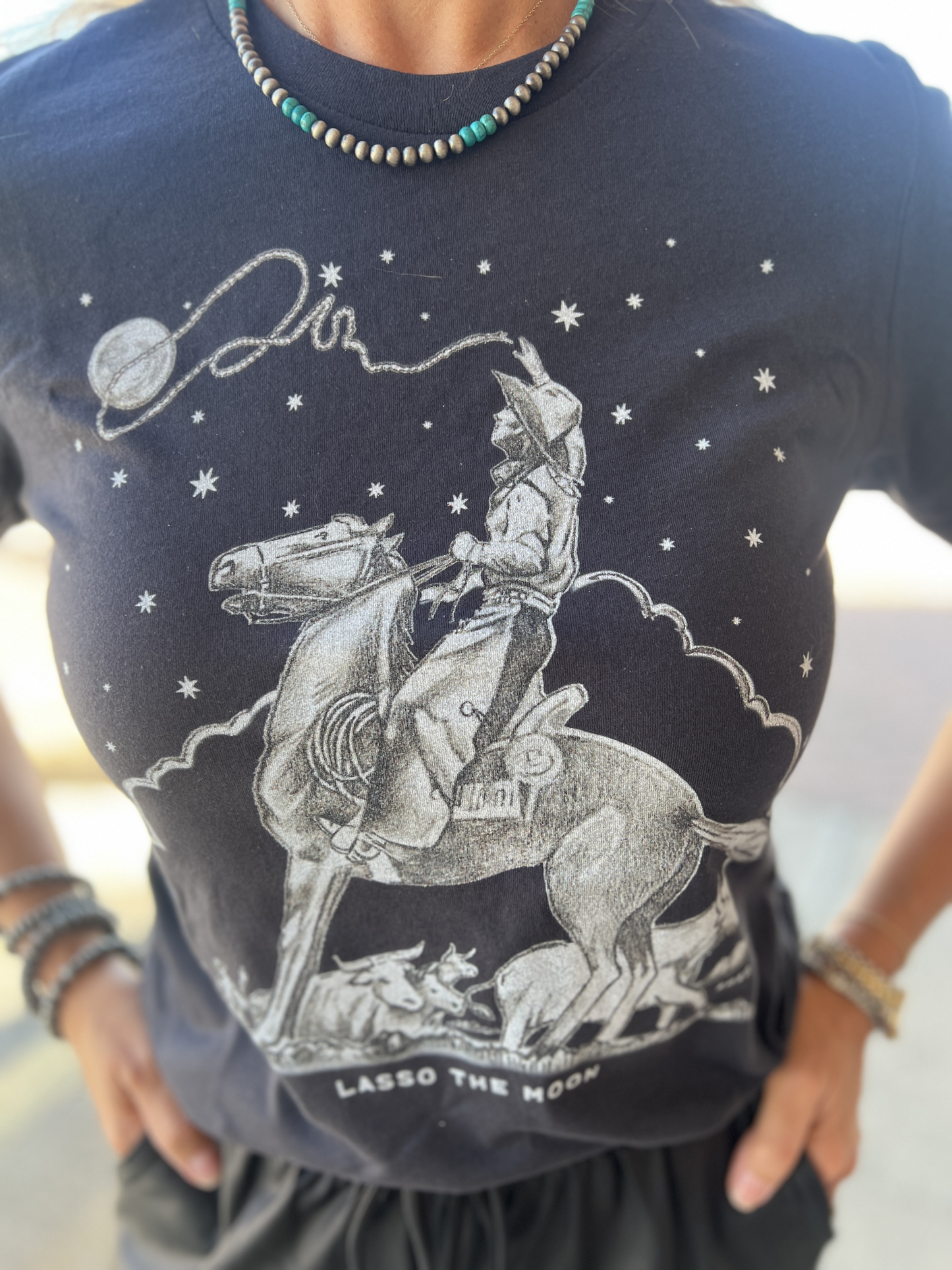 Lasso the Moon