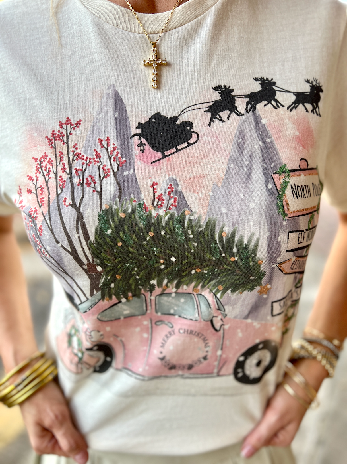North Pole
